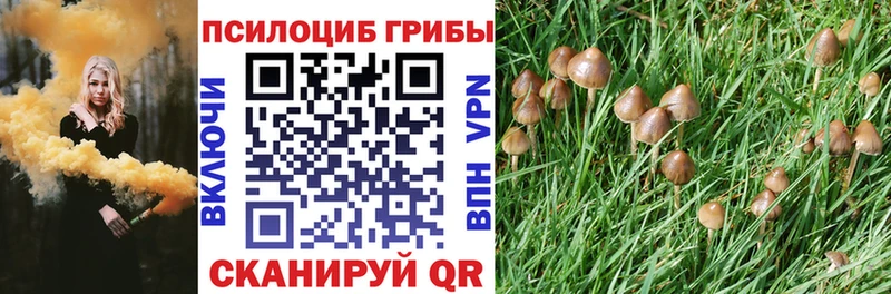 закладки Пустошка Псилоцибиновые грибы Magic Shrooms