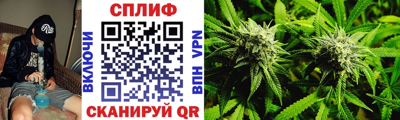 Канабис THC 21%  Пустошка 